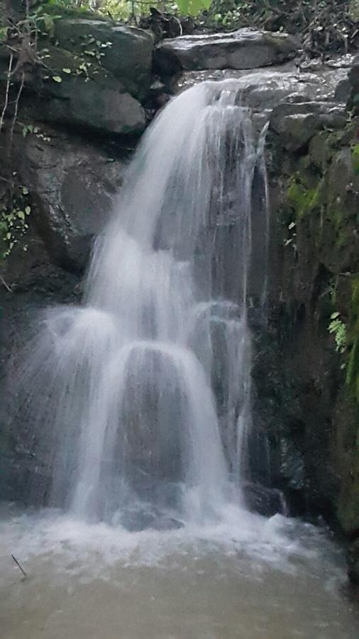 Cherilyn Monta Resort - Ratnagiri Vatul Exterior foto